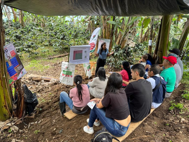 Día de campo en Tuluá, Valle del Cauca, impulso buenas prácticas en nutrición vegetal y cosecha asistida