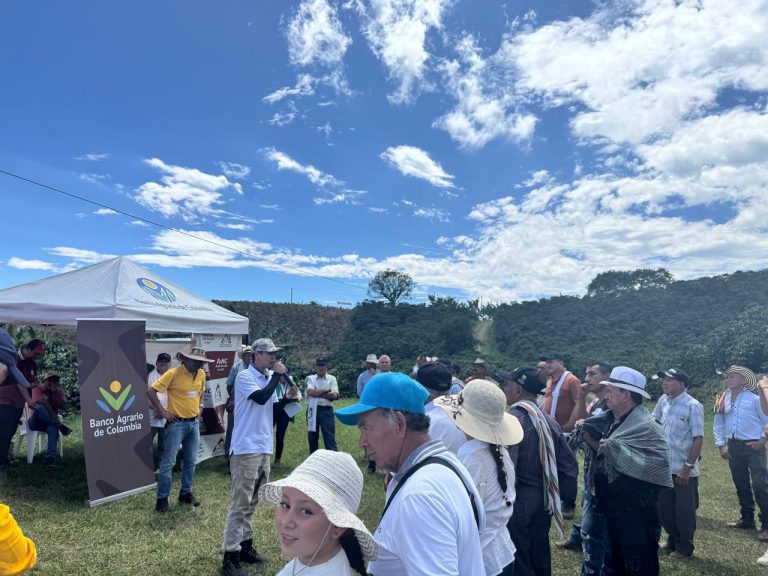 100 caficultores fortalecieron sus conocimientos en manejo integral de cafetales