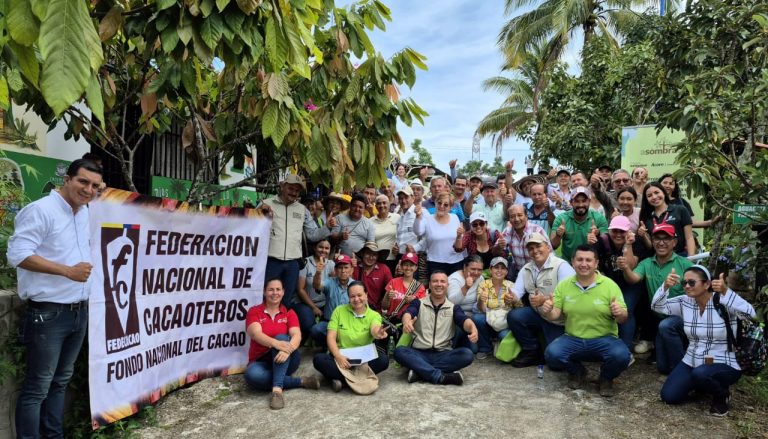 Impulsamos la productividad del cacao con fertilización especializada y materia orgánica