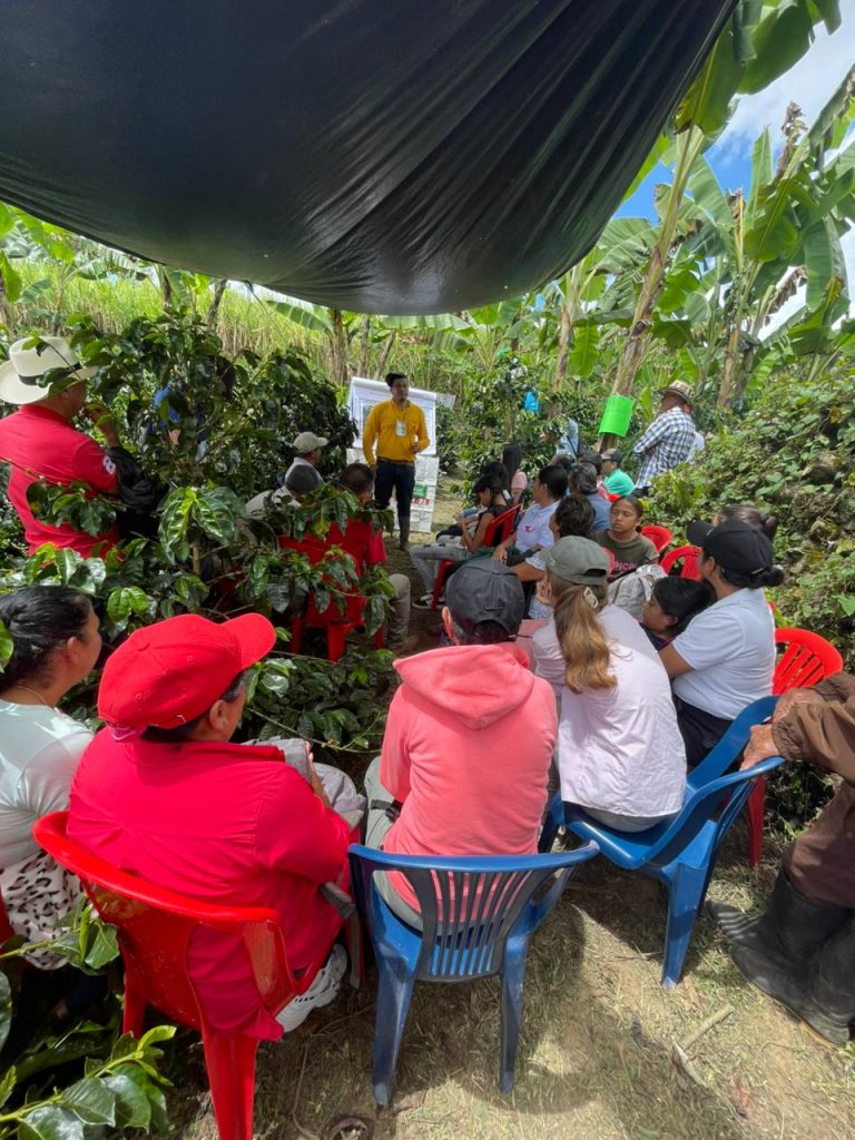 Más de 170 caficultores participaron en jornada técnica sobre fertilización en Versalles, Valle del Cauca