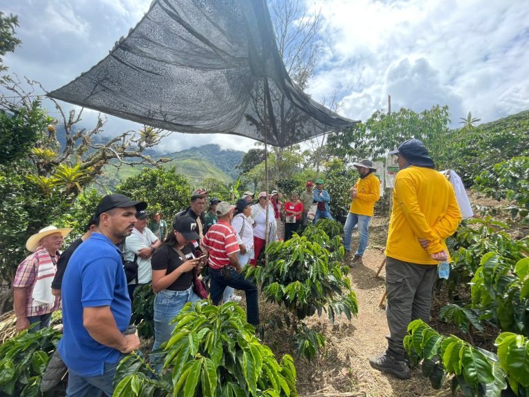Tecnología y nutrición vegetal: eje del acompañamiento de agrocafé en El Águila, Valle del Cauca