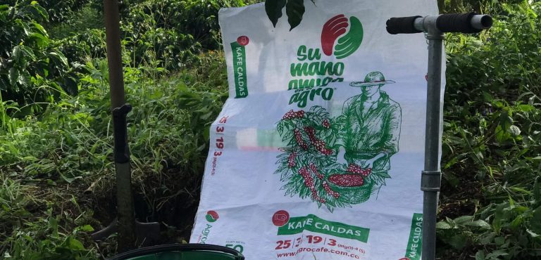 Más de 200 caficultores de Neira recibieron fertilizantes con el acompañamiento de agrocafé