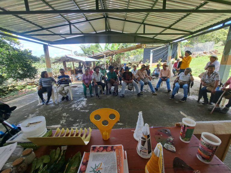 Jornada veredal en el Páramo: compromiso con la nutrición del café y las buenas prácticas