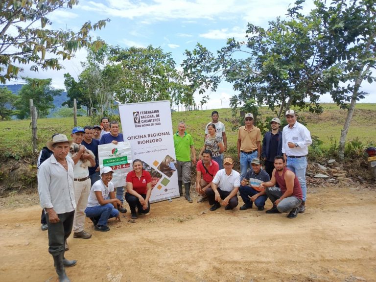 Fedecacao y agrocafé capacitan a cacaocultores de El Playón en fertilización con agrocacao