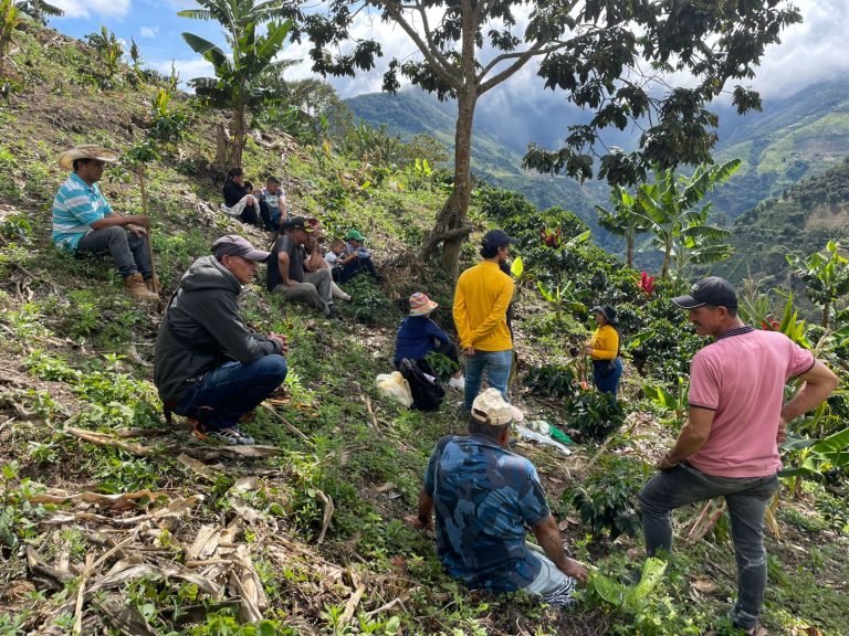 Gira cafetera en El Águila, Valle del Cauca, fortaleció conocimientos sobre fertilización y manejo de suelos